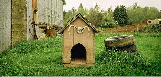 《极限竞速：地平线5》开发者谈XGP对设计的影响